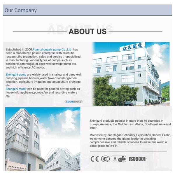 Carbon Ceramic NBR 0.5MPa Electric Engine Water Pump