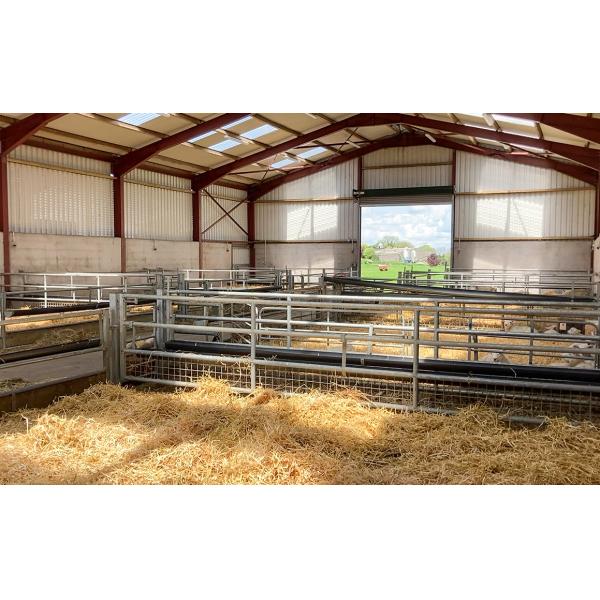 Aluminum Alloy Window Prefab Steel Construction Agricultural Building for Cattle Barn