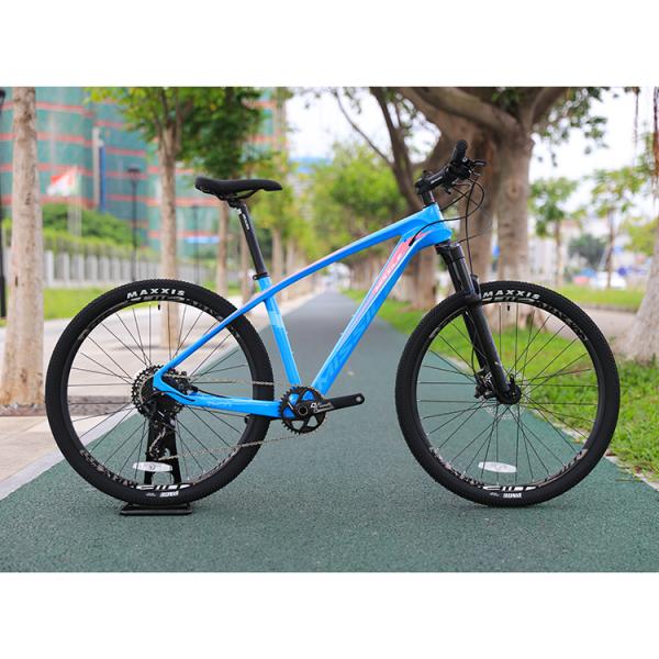 PROWHEEL PMX 36T Chainring Mountain Bike for Men and Women Superior Fork Suspension Included