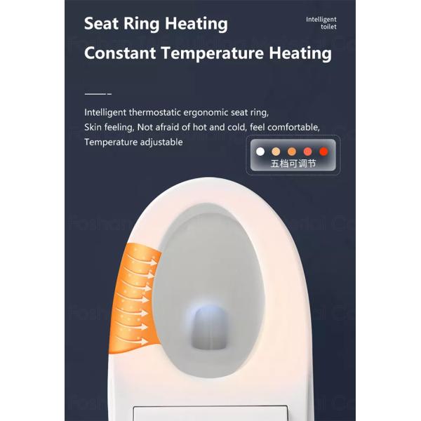 Electronic Bidet Smart Intelligent Toilet Automatic Cleaner Seat