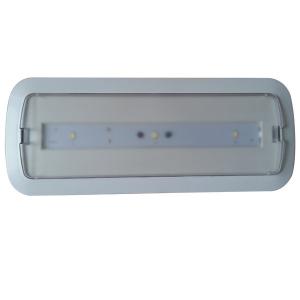 China 3 Hours Autonomy Battery Operated Led Ceiling Light For Emergency on sale