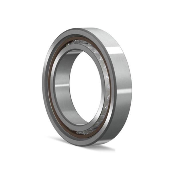 Axial Loads Double Agricultural Bearing Chrome Steel Fixed End Bearings