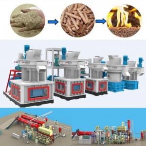 China 1-5 Ton Per Hour Rice Husk Pellet Plant Biomass Pellet Manufacturing Plant on sale