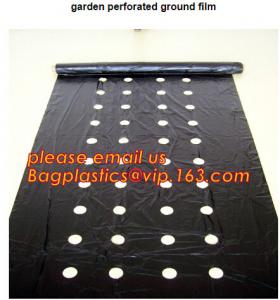 Cheap perforated ground film, Vapor Barrier film, Greenhouse film, Agricultural Panda Film, Reflective Maylar Film wholesale