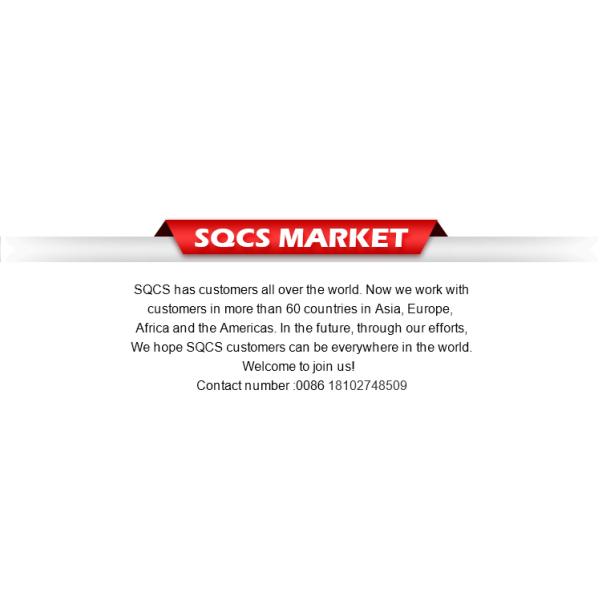 SQCS Gasket Cylinder Head for Mercedes Benz Sprinter 901 Chrome Rearview Mirror Cover