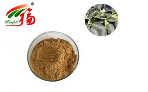 Cheap Anti Oxidant Eucommia Ulmoides Extract Brown Yellow 60% Chlorogenic Acid wholesale