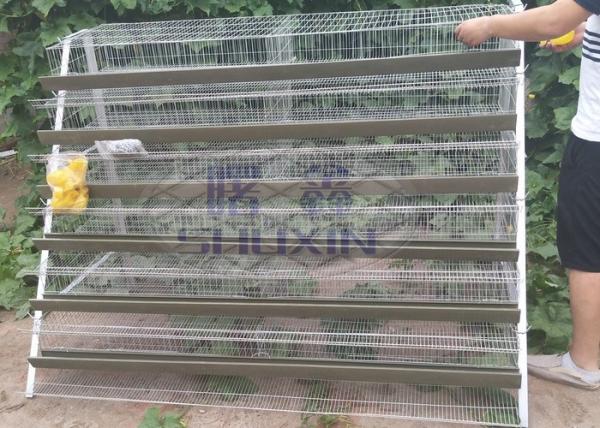 Quality A Type Mesh Layer Quail Bird Cage Of Low Carbon Steel Wire With Sand Cup for sale
