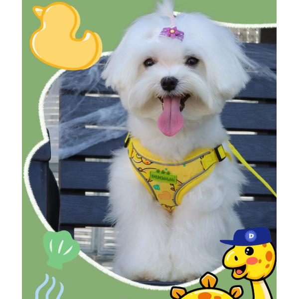 New dog leash small and medium-sized dog chest harness cartoon dinosaur dog walking rope reflective pet chest harness