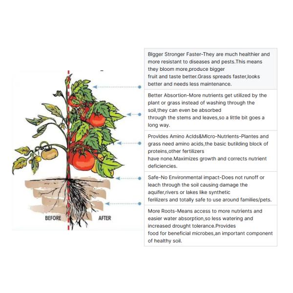 Plant Source Foliar Agriculture Organic Amino Acid Powder Fertilizer Additive Disease Resistance