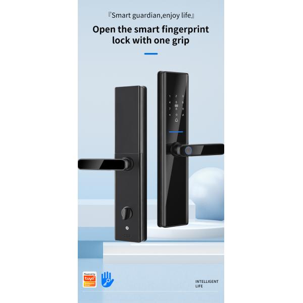 Tuya Wifi TTlock Smart Fingerprint Lock Bloqueio Fingerprint Entry Door Lock
