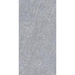 Grey Polished Showroom 1200 X 2400mm Ceramic Floor Tile