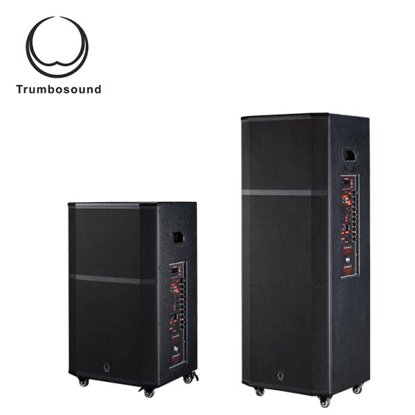 20KHz 95dB 10 Inch Trolley Active Pro Speaker For Tour Guide