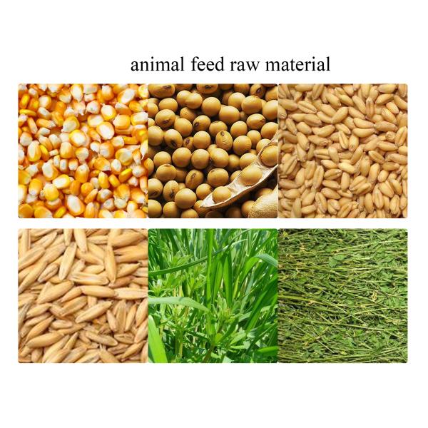 3-4TPH Modular Animal Feed Production Plant Cattle Feed Manufacturing Plant