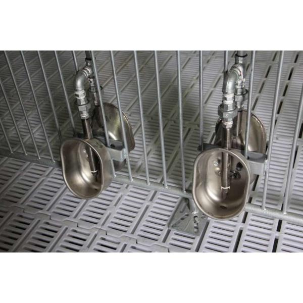 SUS304 Automatic Water Drinker Water Bowl Pig Farming Drinking Bowl