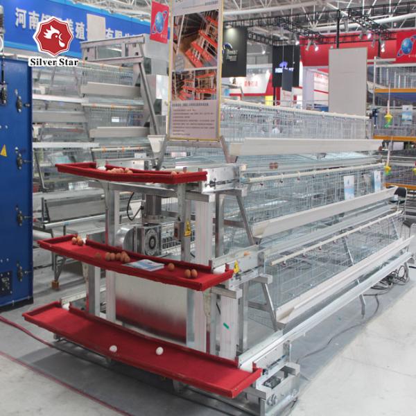 A Type 3/4 Tiers Layer Chicken Cage With Feeding Machine