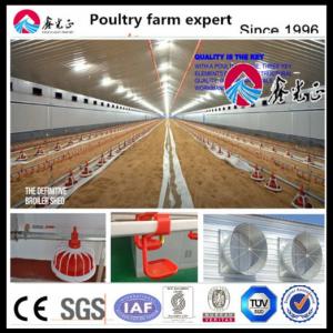 Cheap OEM Standard Poultry House Steel Structure With Sliding Windows wholesale