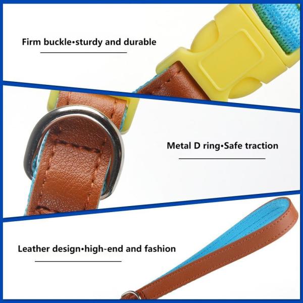 Small and medium-sized dog collar traction set anti-breakaway pet collar dog traction rope