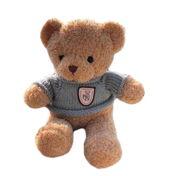 25cm Brown Plush Rag Doll Teddy Bear Girlfriend Birthday Gift