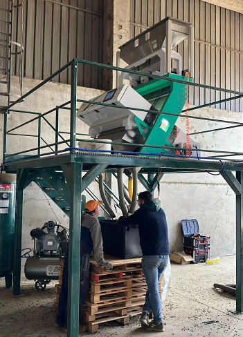 3 Ton/H Walnut Macadamia Peanut Color Sorting Machine CE WIFI Remote