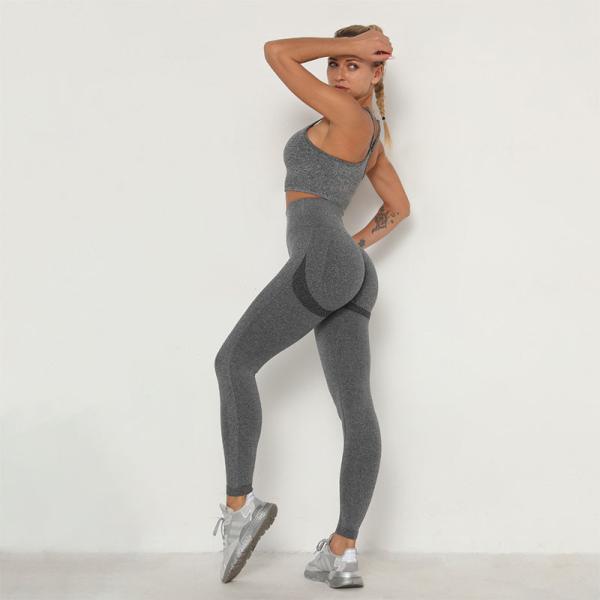 Seamless Yoga Workout Clothes Compression 2 Piece Set Hip Lifting Leggings Crop Top