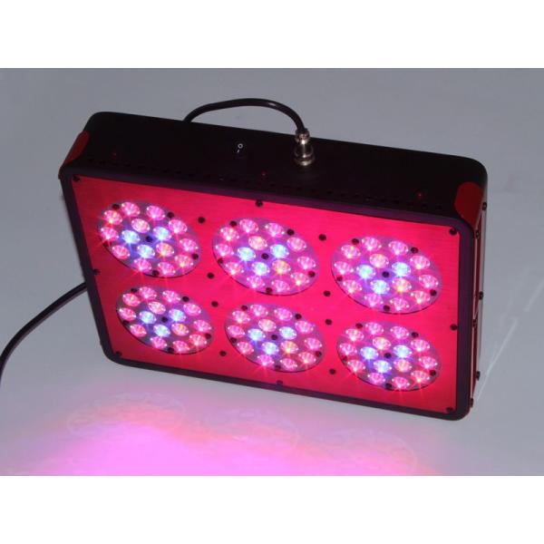 Apollo led Grow Lights or Agriculture Greenhouse