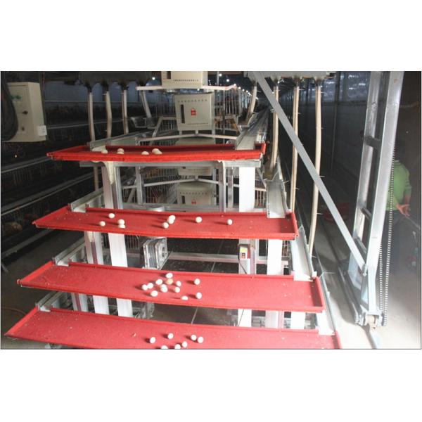 4 Layers 2mm Battery Cage Poultry Egg Collection System ISO9001 Certificated