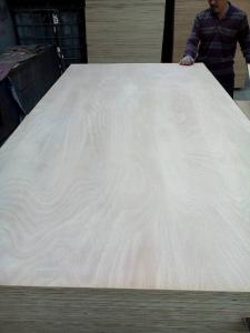 Cheap Commercial Plywood/Ordinary Plywood/Fancy Plywood/Veneered Plywood/Decorative Plywood wholesale