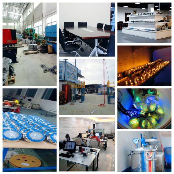 Garden 7000K 24V 6W IP68 Water Fountain Led Lights