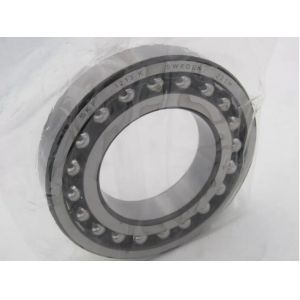 Cheap Precision Instrument Double Row 1320 1320K Self Aligning Ball Bearing wholesale