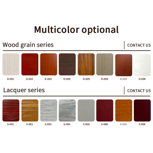 Luxury Style Top Quality Black Color Bright Painting Side Glass Fixed Panel Front Pivot Door with Stainless Steel Handle