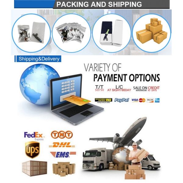 Made in Japan Original Ignition Coil Pack 099700-0350