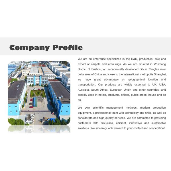 Factory Price Aesthetic 3D Geometric Figure Printed Artistic Living Room Carpet Hotel Area Rugs Customized Size