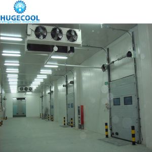 Cheap Cam-lock Pu Panel Cold Room Price wholesale