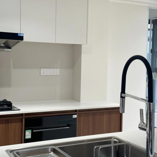 Classic Free Design Wood Veneer Kitchen Cabinet Frame-line Door Panel Wood Kitchen Cabinet Supplier