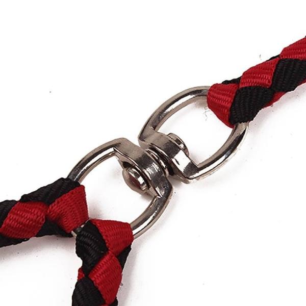  best double dog leash