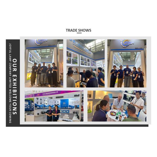 Step light in deck lighting