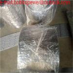 Flexible Stainless Steel Wire Rope Mesh Net/x-tend inox cable wire rope mesh for