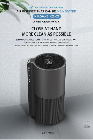 Anion Generator Bedroom Air Cleaner