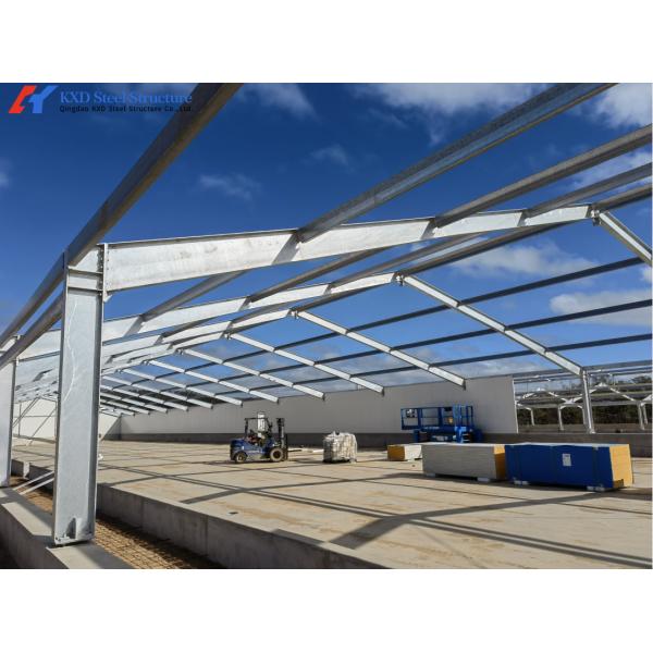 Heavy Duty Steel Cattle Buildings Customized Steel Structure Animal Husbandry Equipment