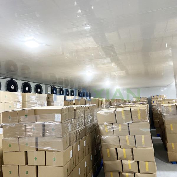 Industrial Refrigeration Equipment Type Walk in Freezer Cold Storage Room for Vegetable/Potato/Onion
