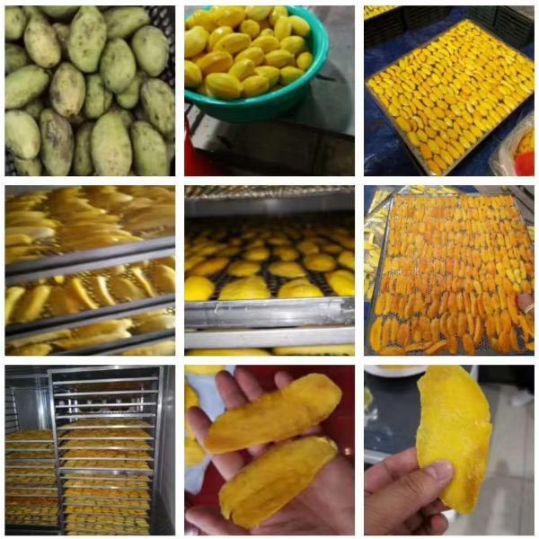 Heat Pump Dryer for drying mango