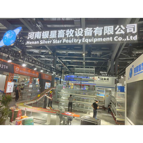 4 Layers 2mm Battery Cage Poultry Egg Collection System ISO9001 Certificated