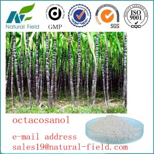 Cheap high quality octacosanol wholesale