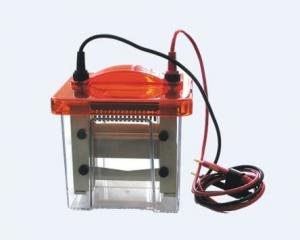 China Vertical electrophoresis system on sale