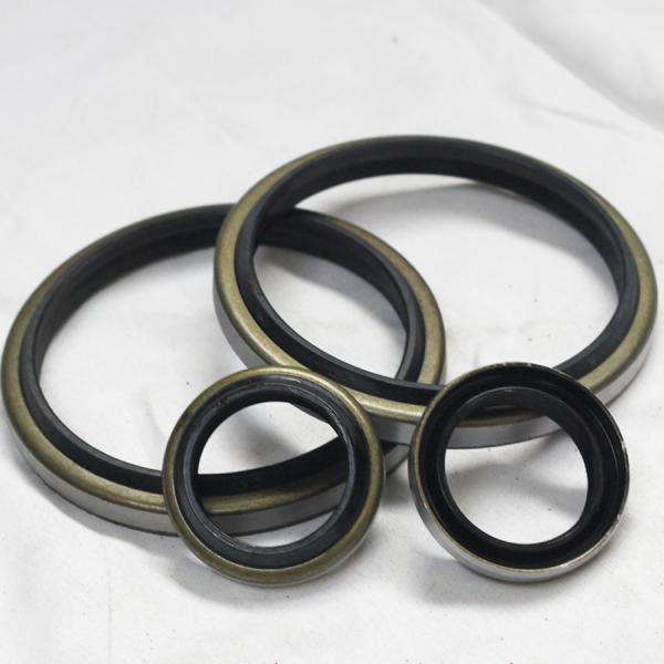 Black DKB DKBI DKBZ DWIR GA Wiper Dust Seals Oil Seal for High Temperature Resistance