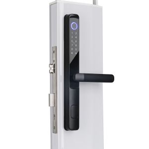 Fingerprint Biometric Security Smart Door Lock SUS304 / Aluminum Alloy
