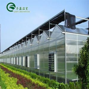 Cheap Venlo Multi-Span Greenhouse Enhance Agriculture with Inside and Outside Shading System wholesale