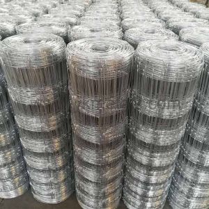 Deer Goat Farm Wire Fence Galvanized Wire Hinge Joint Fencing