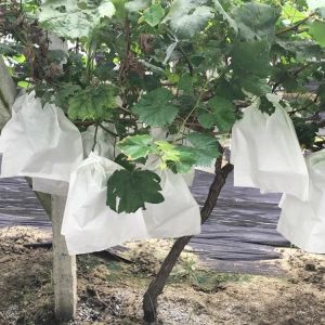 NonWoven Spunbond Fabric Fruit Protection Bags 9GSM
