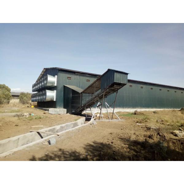 Chicken Farm Hot Dipped Galvanized Chicken Poultry Cage A Frame